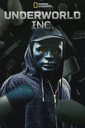 Watch Free Underworld, Inc. (2015)