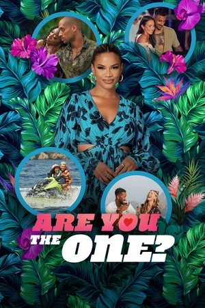Watch Free Are You the One? (2014 )