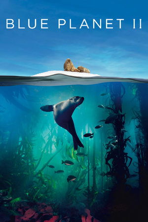Watch Free Blue Planet II (2017)