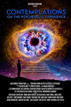 Watch Free Contemplations On the Psychedelic Experience (2022)