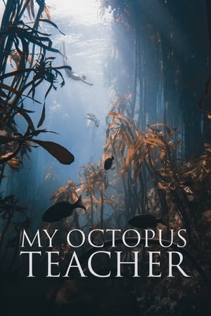 Watch Free My Octopus Teacher (2020)