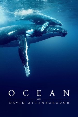 Watch Free Ocean with David Attenborough (2025)