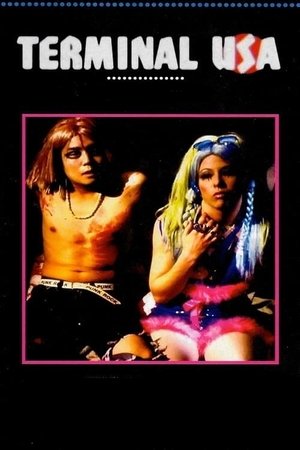 Watch Free Terminal USA (1993)