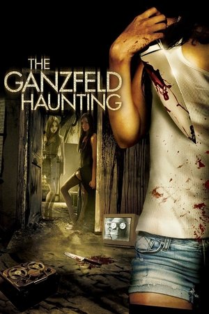 Watch Free The Ganzfeld Haunting (2016)