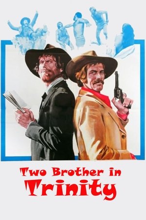 Watch Free Two Brothers in Trinity (1972)