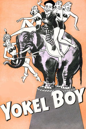Watch Free Yokel Boy (1942)