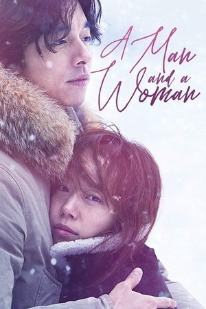 Watch Free A Man and a Woman (2016)