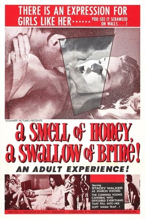 Watch Free A Smell of Honey, a Swallow of Brine (1966)