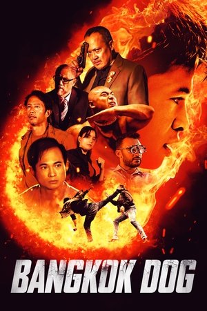 Watch Free Bangkok Dog (2024)