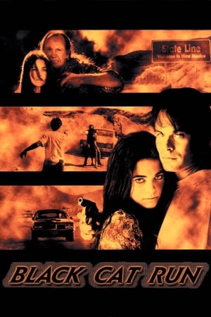 Watch Free Black Cat Run (1998)