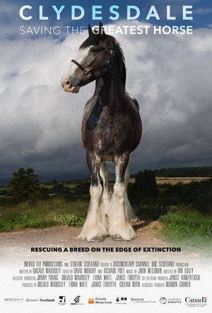 Watch Free Clydesdale Saving the Greatest Horse (2020)