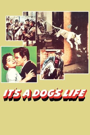 Watch Free Its a Dogs Life (1955)