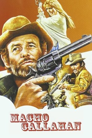 Watch Free Macho Callahan (1970)