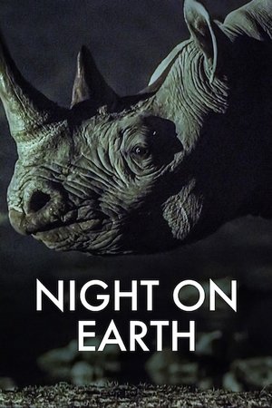 Watch Free Night on Earth (2020 )