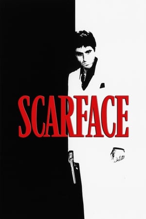 Watch Free Scarface 1983 