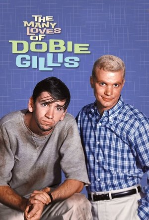Watch Free The Many Loves of Dobie Gillis (1959-1963)