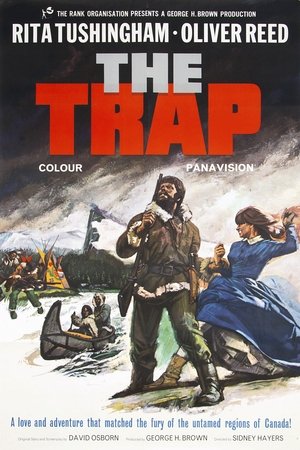 Watch Free The Trap (1966)