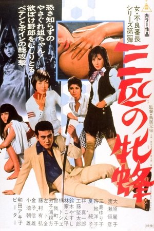 Watch Free Three Pretty Devils (1970)