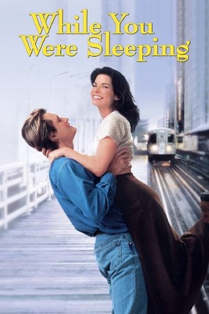Watch Free While You Were Sleeping (1995)