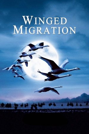 Watch Free Winged Migration (2001)