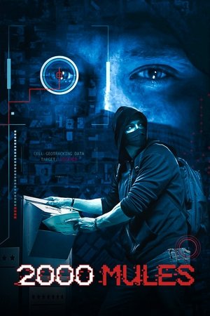 Watch Free 2000 Mules (2022)