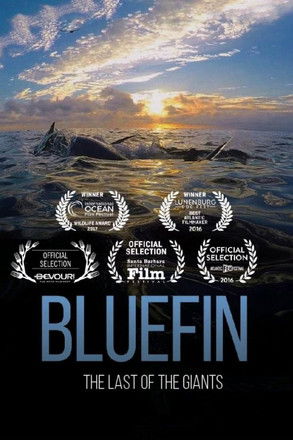 Watch Free Bluefin (2016)