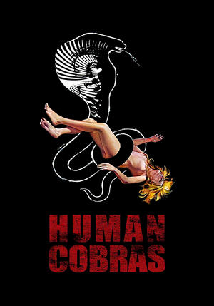 Watch Free Luomo più velenoso del cobra (1971)