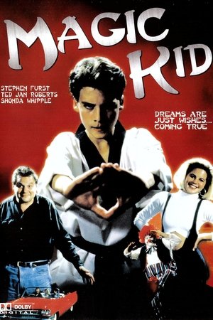 Watch Full Movie: Magic Kid (1993)