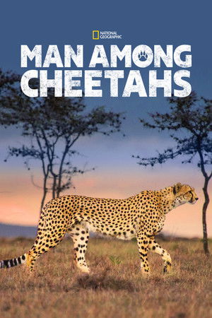 Watch Free Man Among Cheetahs (2017)