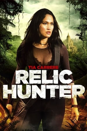 Watch Free Relic Hunter (19992002)