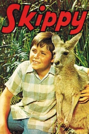 Watch Free Skippy (19681970)