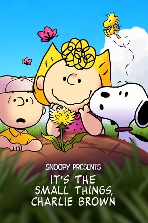 Watch Full Movie: Its the Small Things, Charlie Brown (2022)