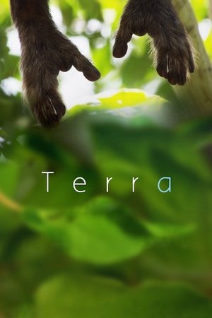 Watch Free Terra (2015)
