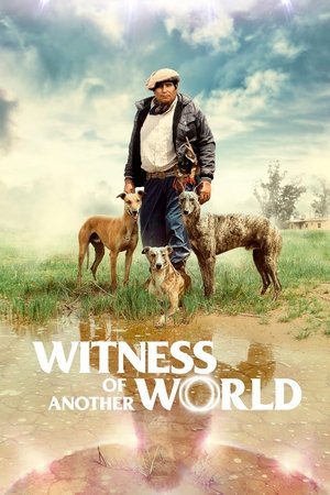 Watch Free Witness of Another World (2018)