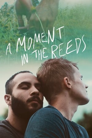 Watch Free A Moment in the Reeds (2017)