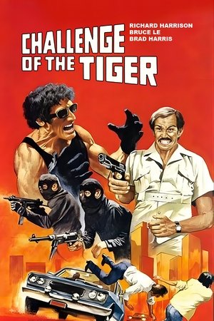 Watch Free Challenge of the Tiger (1980)