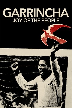 Watch Free Garrincha: Hero of the Jungle (1963)