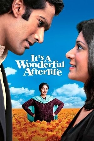 Watch Free Its a Wonderful Afterlife (2010)