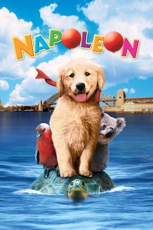 Watch Free Napoleon (1995)