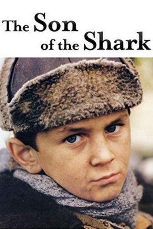 Watch Free The Son of the Shark (1993)