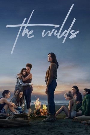 Watch Free The Wilds (2019 )