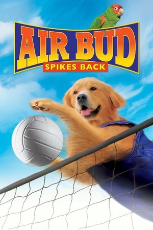 Watch Free Air Bud: Spikes Back (Video 2003)