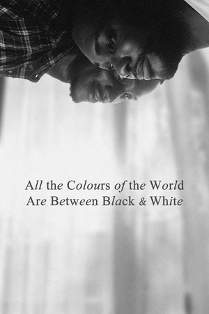 Watch Free All the Colours of the World Are Between Black and White (2023)