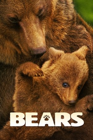 Watch Free Bears 2014