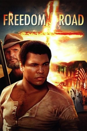 Watch Free Freedom Road (1979)