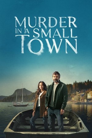 Watch Free Murder in a Small Town (2024-)