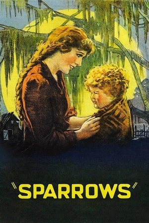 Watch Free Sparrows (1926)