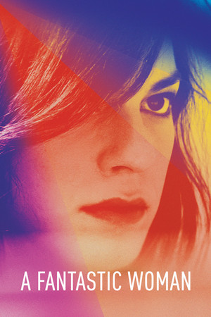 Watch Free A Fantastic Woman (2017)
