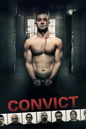 Watch Free Convict 2014