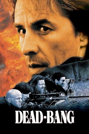 Watch Free Dead Bang (1989)
